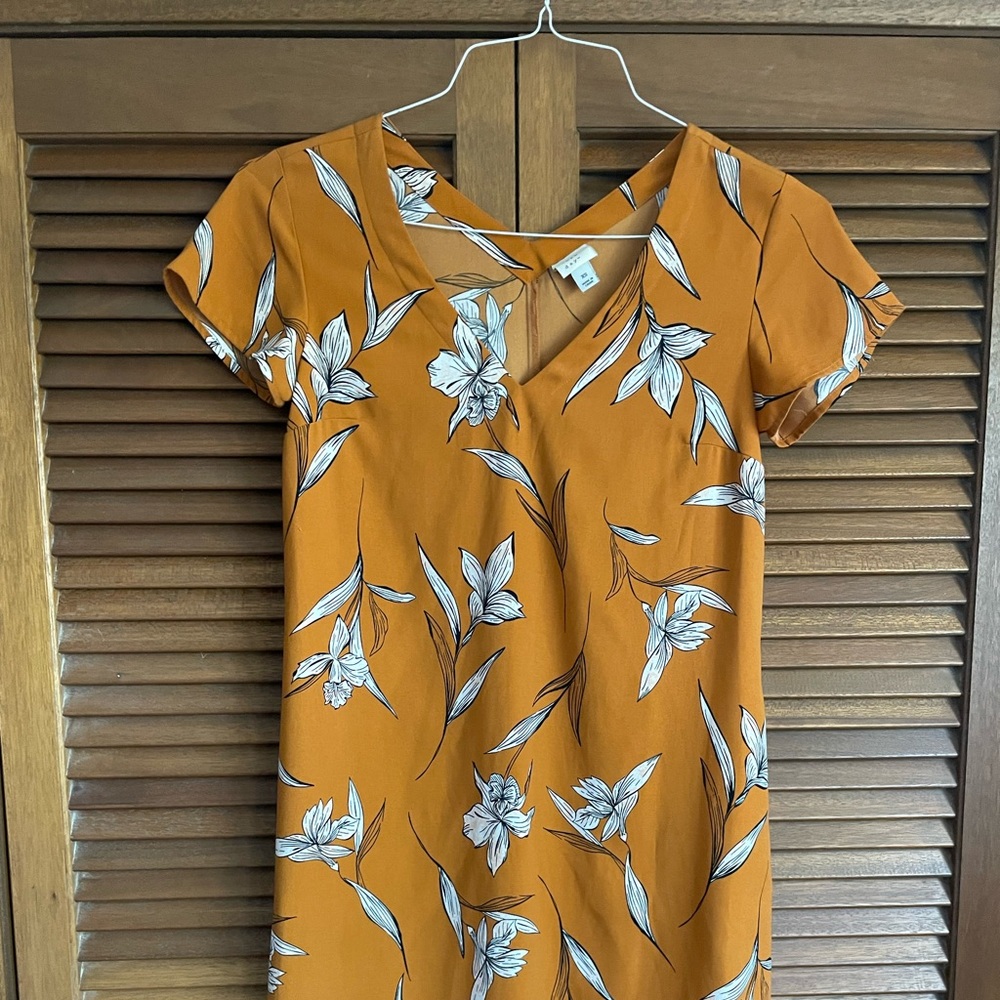 A New Day Shift Dress